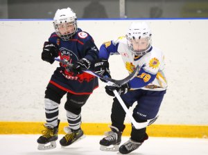 19.04.2026. Золотая шайба. Финал 2017. Рефтинский