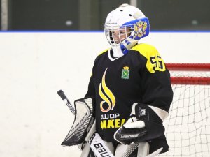 19.04.2026. Золотая шайба. Финал 2017. Рефтинский