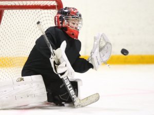 19.04.2026. Золотая шайба. Финал 2017. Рефтинский