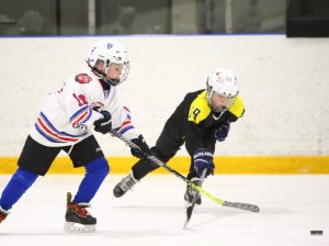 19.04.2026. Золотая шайба. Финал 2017. Рефтинский