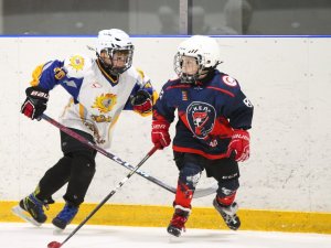 19.04.2026. Золотая шайба. Финал 2017. Рефтинский