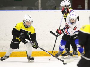 19.04.2026. Золотая шайба. Финал 2017. Рефтинский