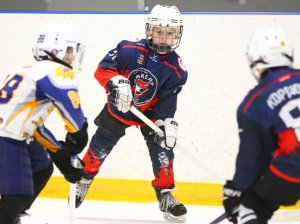 19.04.2026. Золотая шайба. Финал 2017. Рефтинский