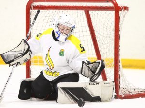 19.04.2026. Золотая шайба. Финал 2017. Рефтинский