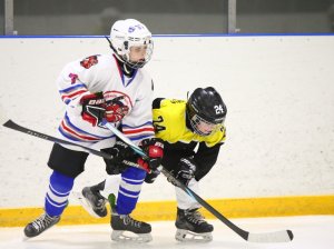 19.04.2026. Золотая шайба. Финал 2017. Рефтинский