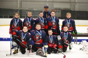 19.04.2026. Золотая шайба. Финал 2017. Рефтинский