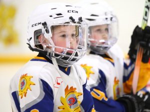 19.04.2026. Золотая шайба. Финал 2017. Рефтинский