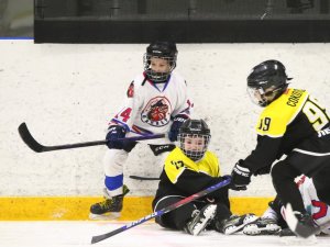 19.04.2026. Золотая шайба. Финал 2017. Рефтинский