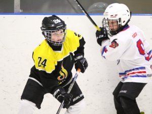 19.04.2026. Золотая шайба. Финал 2017. Рефтинский