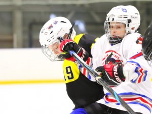 19.04.2026. Золотая шайба. Финал 2017. Рефтинский