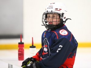 19.04.2026. Золотая шайба. Финал 2017. Рефтинский