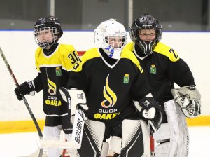 19.04.2026. Золотая шайба. Финал 2017. Рефтинский