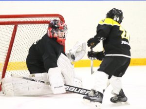 19.04.2026. Золотая шайба. Финал 2017. Рефтинский