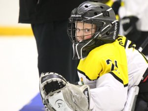 19.04.2026. Золотая шайба. Финал 2017. Рефтинский