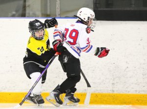 19.04.2026. Золотая шайба. Финал 2017. Рефтинский