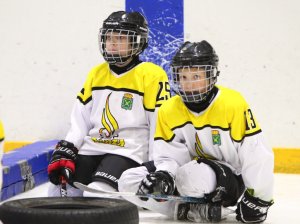 19.04.2026. Золотая шайба. Финал 2017. Рефтинский