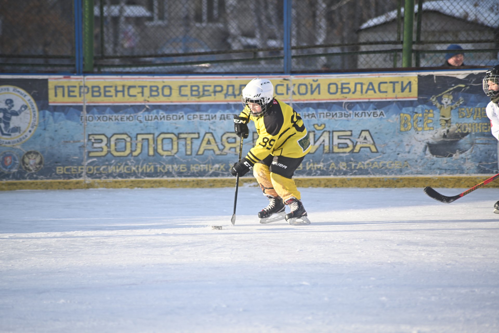 Хоккей свердловской области среди взрослых 2023 2024. Федерация хоккея Свердловской области.