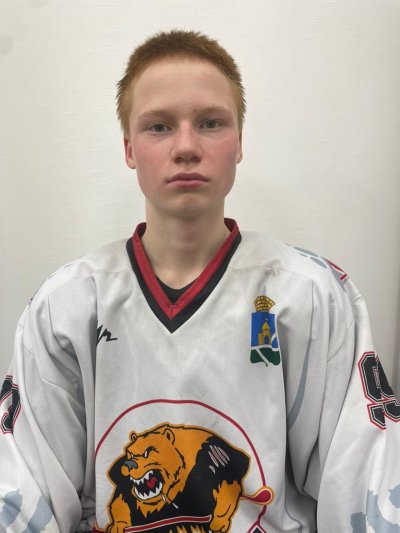 Берсенев  Илья  Вадимович