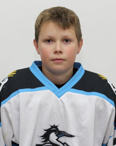 Воинков  Артемий  Александрович