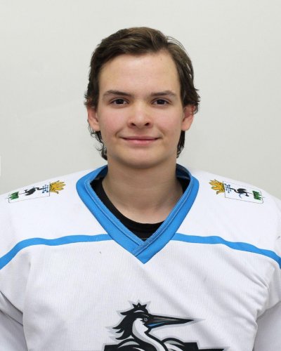 Сабанин  Савелий  Дмитриевич