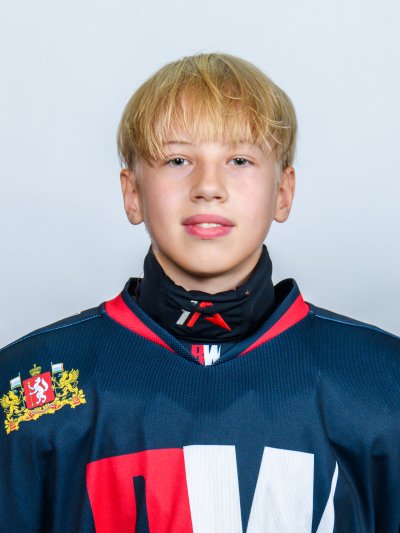 Рожин Михаил Дмитриевич