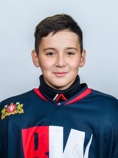 Шарафутдинов Тимур Вячеславович