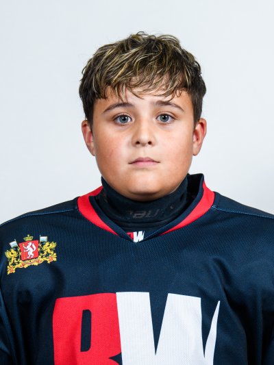 Вощиков  Дмитрий  Алексеевич