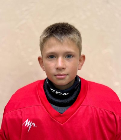 Никулин  Роман  Александрович