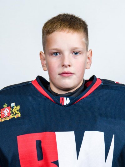 Предеин  Григорий  Сергеевич