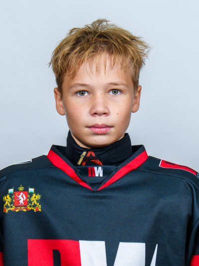 Бабин  Всеволод  Константинович