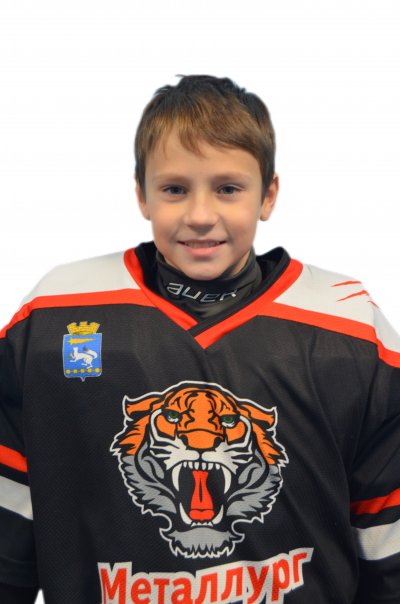 Викулин  Лев  Иванович