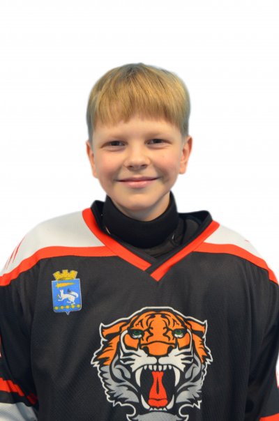 Воеводин  Дмитрий  Александрович