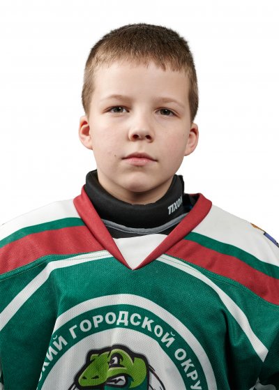 Галицкий  Михаил  Владиславович
