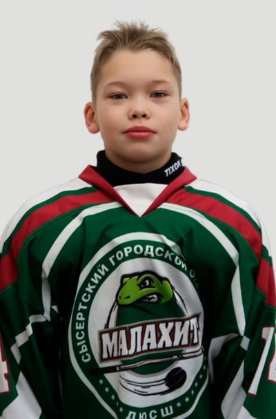 Брынских  Михаил  Дмитриевич