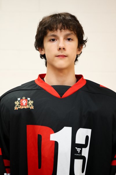 Шуклин  Габриэль