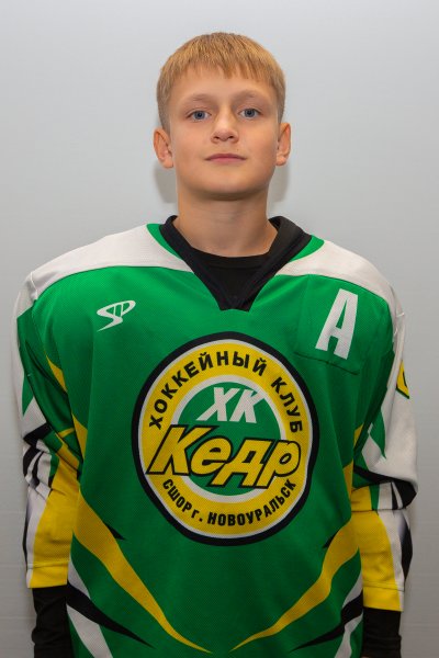 Шмидт  Михаил  Ильич