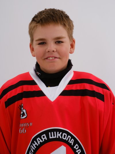 Стрельцов  Всеволод  Дмитриевич