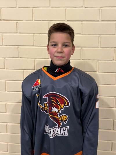 Мухаметов  Эмиль  Дамирович