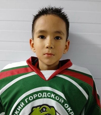 Шарафутдинов  Дамир  Салаватович