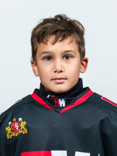 Серебреников  Данил  Сергеевич