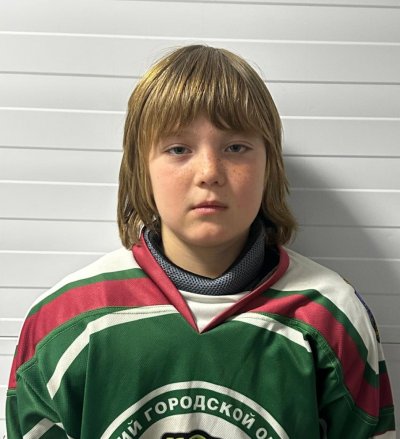 Зарипов  Яромир  Илгамович