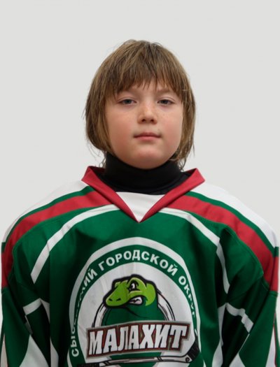 Зарипов  Яромир  Илгамович