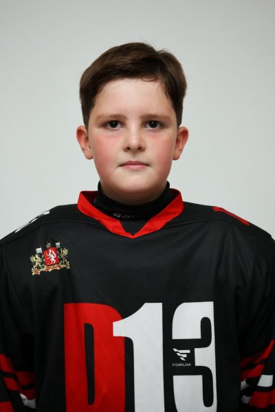 Яковлев Илья Витальевич