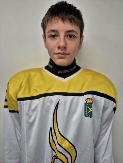 Поварницын  Никита  Антонович