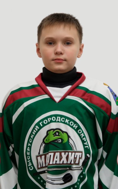 Шевелев  Илья  Денисович