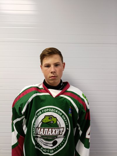 Швецов  Роман  Алексеевич