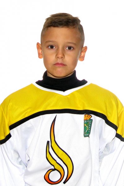 Ильин  Арсений  Максимович