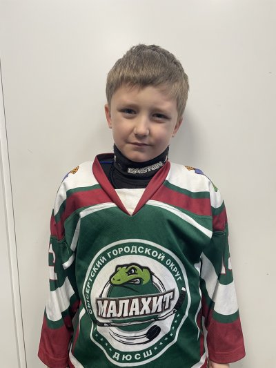 Лебедев  Михаил  Дмитриевич