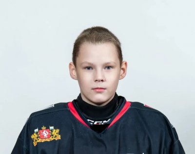 Мельничников  Всеволод  Вячеславович