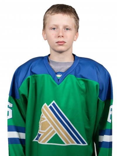 Колесников  Даниил  Вадимович